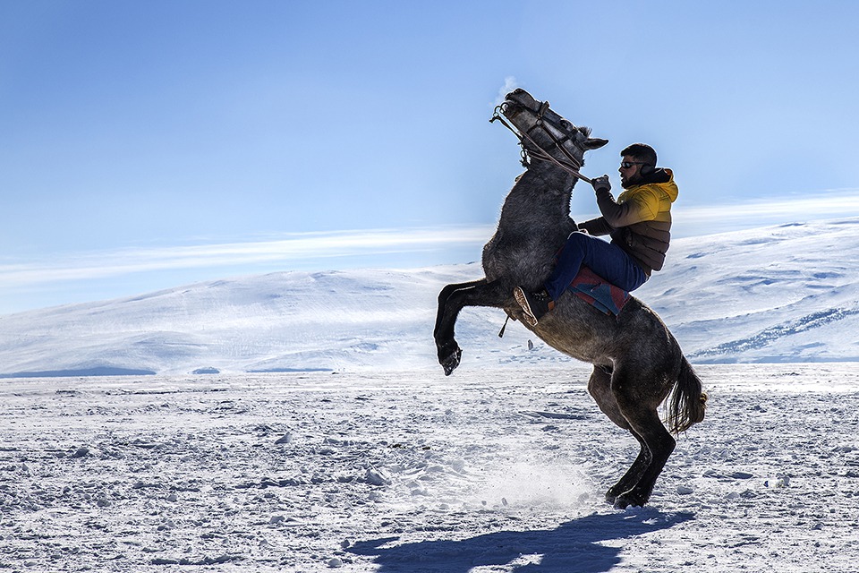 Atlı Spor - Şahlanma