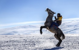 Atlı Spor - Şahlanma