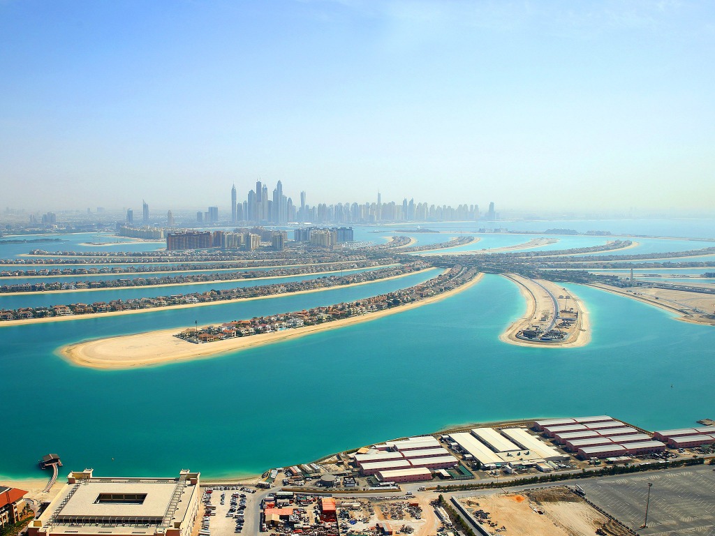 R1 1 Dubail Palm