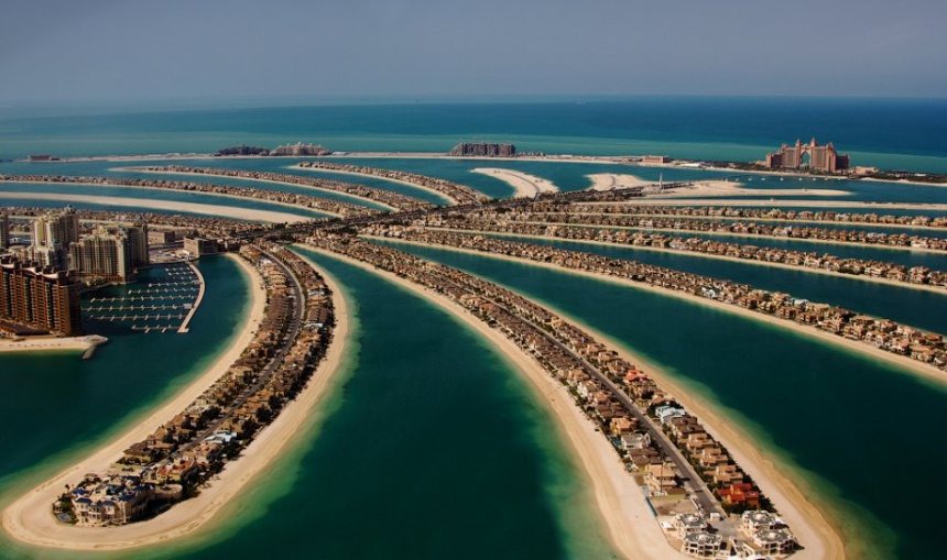 R1 2 Dubail Palm