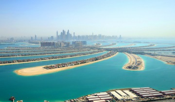 R1 1 Dubail Palm