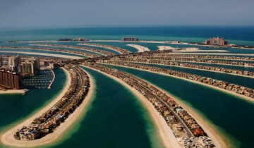 R1 2 Dubail Palm